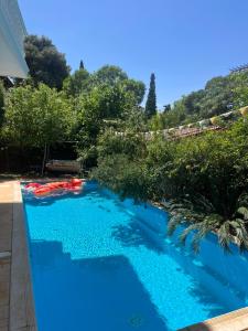 Πισίνα στο ή κοντά στο PJ GARDEN HOUSE +22 φωτογραφίες