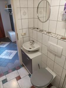 a bathroom with a toilet and a sink and a mirror at Apartment Bräustübel, free Wi-Fi, Parken, Grillecke, nähe Rennsteig in Lehesten