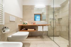 a bathroom with a toilet and a sink and a shower at Peterwieshof in Funes