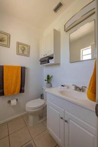a bathroom with a toilet and a sink and a mirror at Brand NewPainted Vacation Hse NrUCF PetsOK Fenced in Orlando