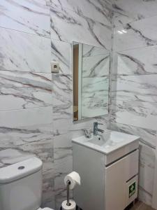 a bathroom with a toilet and a sink and a mirror at Imperial Douro Apartamento 4 in Peso da Régua +4 photos