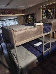 a pair of bunk beds in a room at Co-ed Dorm with Fantastic Patio! in Ewing