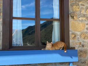 un gato naranja sentado en un alféizar de la ventana en Apartamentos Calm & Nature en Liebana, en Cabezón de Liébana
