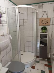 uma casa de banho com um chuveiro e um WC. em Apartment Bräustübel, free Wi-Fi, Parken, Grillecke, nähe Rennsteig em Lehesten