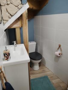 une salle de bains avec toilettes et lavabo dans l'établissement Maison de village Sarrians, à Sarrians