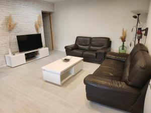 sala de estar con 2 sillas de cuero y TV de pantalla plana en Maison de campagne, en Norrois