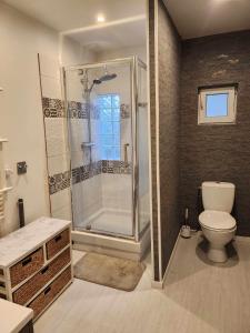 un baño con ducha y WC en Maison de campagne, en Norrois