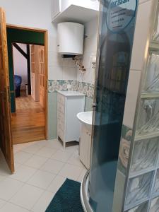 a bathroom with a shower and a sink at Strażnica Pod Lasem in Lasowka