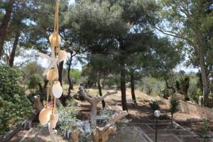 Zahrada ubytování Villa Maria in Puglia con pineta vicino al mare