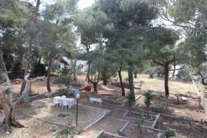 Zahrada ubytování Villa Maria in Puglia con pineta vicino al mare