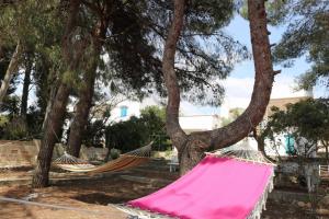 Fotografie z fotogalerie ubytování Villa Maria in Puglia con pineta vicino al mare v destinaci Torre Suda