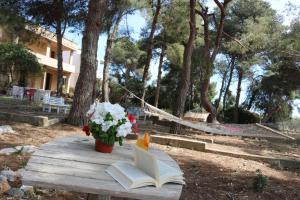 Zahrada ubytování Villa Maria in Puglia con pineta vicino al mare