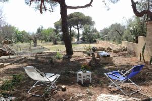 Zahrada ubytování Villa Maria in Puglia con pineta vicino al mare