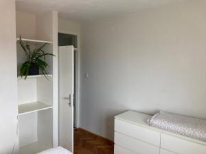 um quarto branco com uma planta na parede em Zara em Pula