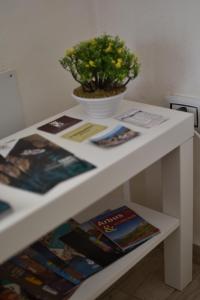 una mesa blanca con libros y una maceta en ella en Il Girasole, en Iglesias