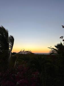 - un coucher de soleil sur l'océan avec des palmiers et des fleurs dans l'établissement Bonita Casa de Campo en Celestino Gasca, à Celestino Gasca