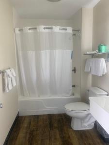 La salle de bains est pourvue d'un rideau de douche blanc et de toilettes. dans l'établissement Hatfield Inn, à Hatfield