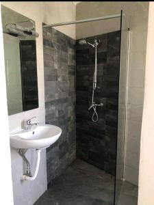 a bathroom with a sink and a shower at Star Dream Apartment in Xgħajra