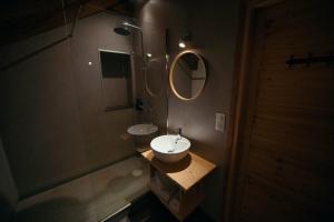 een badkamer met een wastafel en een spiegel bij La Ferme du Bien-etre in Saint-Julien-Chapteuil