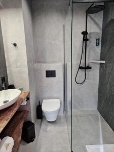 a bathroom with a shower with a toilet and a sink at Beskidylla in Ustroń