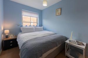 a blue bedroom with a bed and a window at Sheriffs Tower Cottage - East in Bishop Auckland