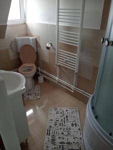 a bathroom with a toilet and a shower and a sink at Cabana Daria in Gârda de Sus