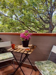 A garden outside La casa di Ieia