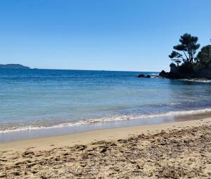 a sandy beach with trees in the water at Le Patio Bleu in La Crau