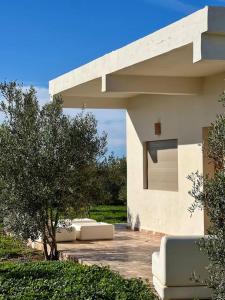 Oulad YoussefLa Casa Blanca • Ecolodge Vert的前面有一棵树的建筑物
