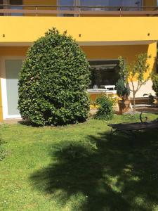Zahrada ubytování Casa Ratti