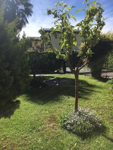 Zahrada ubytování Casa Ratti