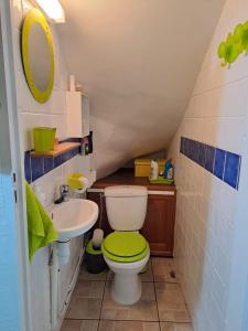 La petite salle de bains est pourvue de toilettes et d'un lavabo. dans l'établissement Au petit salako, à Capesterre-Belle-Eau