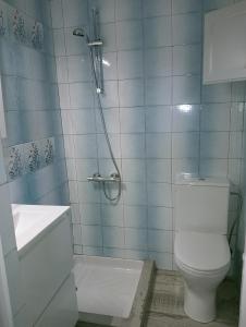 a bathroom with a toilet and a sink and a shower at Rural Sant Llop in Tordera