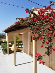 a gazebo with red roses growing on it at Aroma Studios in Argostoli