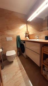 Baño pequeño con aseo y lavamanos en Apartment Botanica en Zvolen