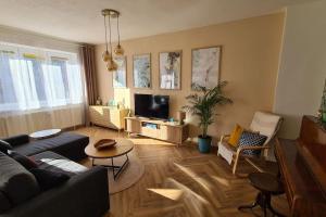 sala de estar con sofá y TV en Apartment Botanica en Zvolen