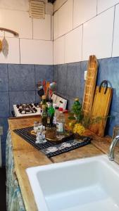 uma bancada de cozinha com um lavatório e um lavatório em Cabaña,Chalet Alpino Bosques de Peralta Ramos em Mar del Plata