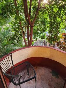 シワタネホにあるBudget friendly / Homestay / with private balconyの橋のある木の下のベンチ