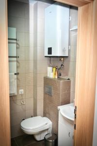 a small bathroom with a toilet and a sink at Zlatibor apartman in Zlatibor