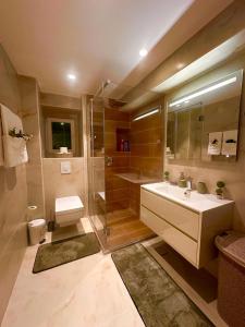 a bathroom with a shower and a sink and a toilet at Holiday Home Nautica in Kotor