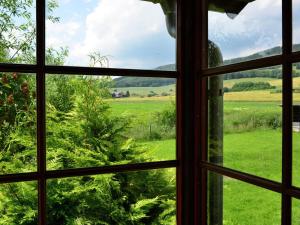 a window looking out at a field of grass at Apartment in the Hochsauerland region in a quiet location in Stormbruch