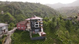 een luchtzicht op een huis in een wijngaard bij Sama house in Rize