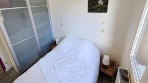 una piccola camera con letto bianco e doccia di Résidence Saint Genest - Appartement proche Village 4 pers MAE-1911 a Vallouise