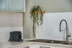 Η κουζίνα ή μικρή κουζίνα στο Experience this Stylish Brisbane Apartment +12 φωτογραφίες