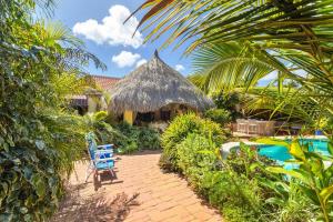 un complejo con una silla azul y una piscina en Villa Laurence Aruban Oasis Footsteps To Ocean en Savaneta