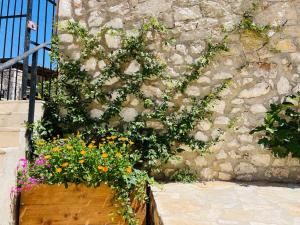 Zahrada ubytování Guesthouse near the Castle of Himare