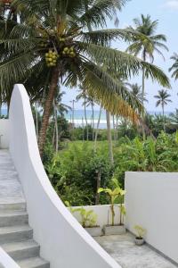 schody prowadzące na plażę z palmami w obiekcie Swallow villa - French guest house w mieście Ahangama