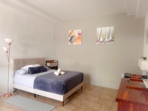 een slaapkamer met een bed met een knuffeldier erop bij Casa Garitas GuestHouse - Free SJO Airport Shuttle in Santiago Este