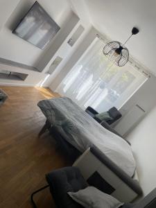 Televízia a/alebo spoločenská miestnosť v ubytovaní Appartement du lion