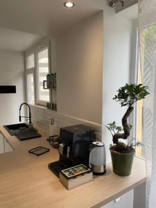 une cuisine avec une cafetière sur un comptoir avec une plante dans l'établissement Appartement du lion, à Belfort